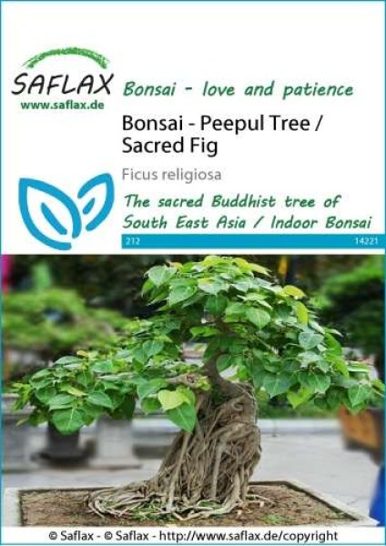14221-ficus-religiosa-seed-package-front-cr-english