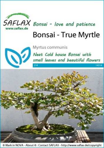 14314-myrtus-communis-seed-package-front-cr-english