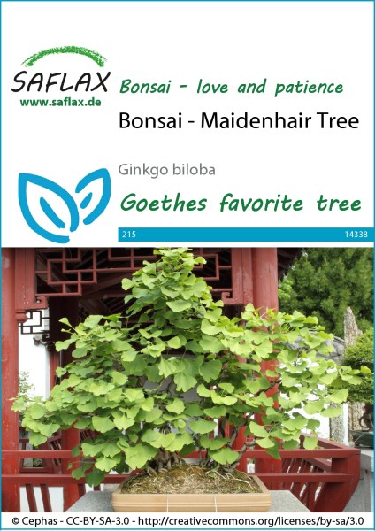 14338-ginkgo-biloba-seed-package-front-cr-english