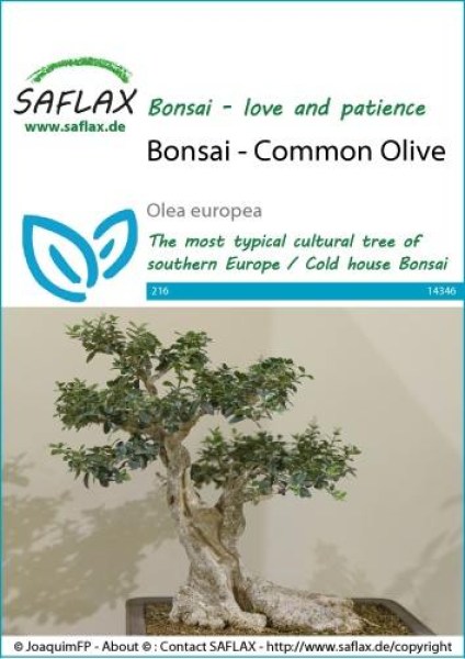 14346-olea-europea-seed-package-front-cr-english