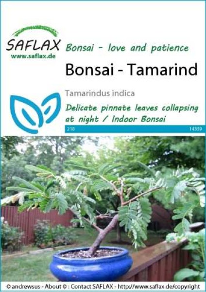 14359-tamarindus-indica-seed-package-front-cr-english