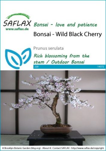 14372-prunus-serulata-seed-package-front-cr-english