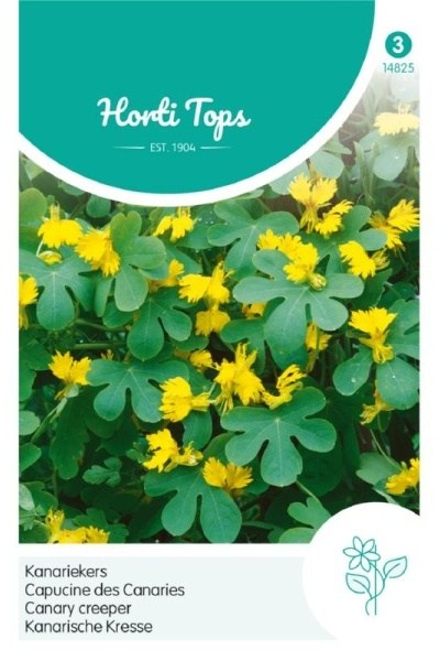 Kapucínka sťahovavá, kanárska Tropaeolum peregrinum