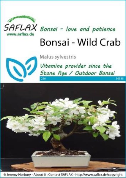 14953-malus-sylvestris-seed-package-front-cr-english