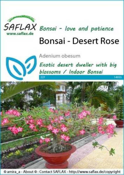 14955-adenium-obesum-seed-package-front-cr-english