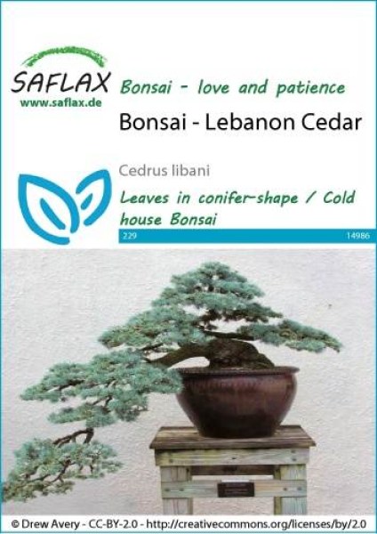 14986-cedrus-libani-seed-package-front-cr-english