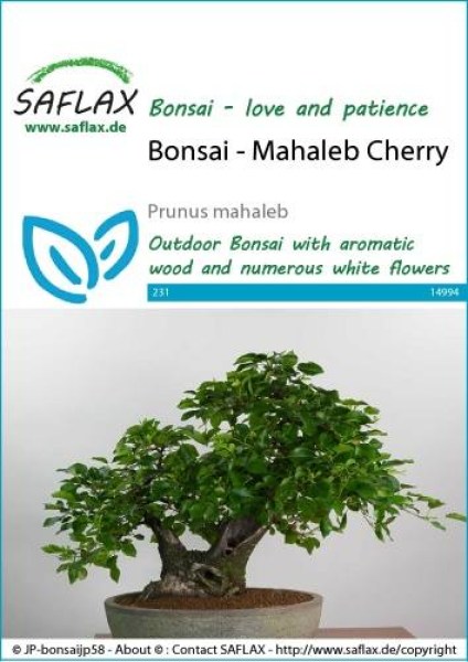 14994-prunus-mahaleb-seed-package-front-cr-english