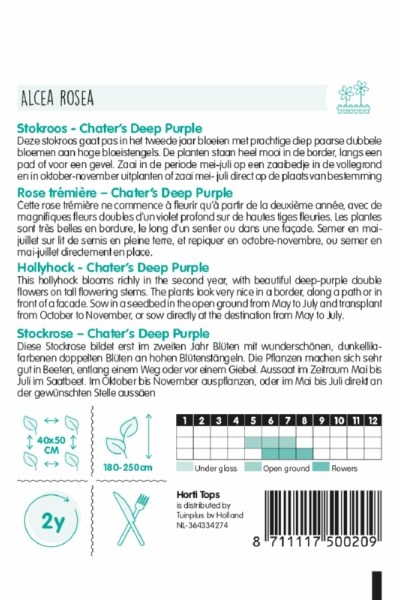 Topoľovka Alcea rosea Chaters Deep Purple cca 0,25 g semien