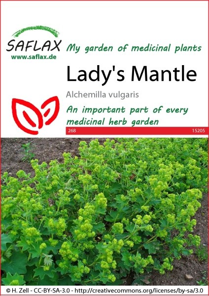 15205-alchemilla-vulgaris-seed-package-front-cr-english3