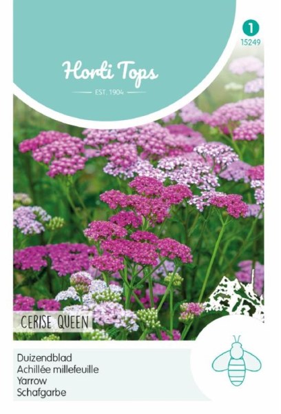 Ružový rebríček, semená ružového rebríčka, ahillea semená, ružová achillea,