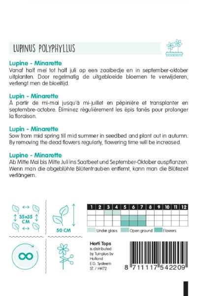 Lupina mnoholistá  Lupinus polyphyllus Minarette zmes cca 1,5 g semien