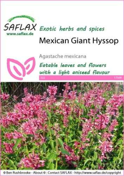 17509-agastache-mexicana-seed-package-front-cr-english
