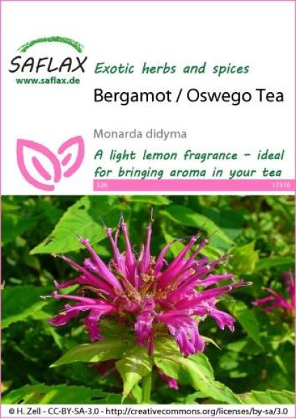 17516-monarda-didyma-seed-package-front-cr-english