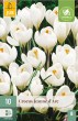 biely krokus, Jeanne d Arc, krokusy, krokus, cibuloviny,