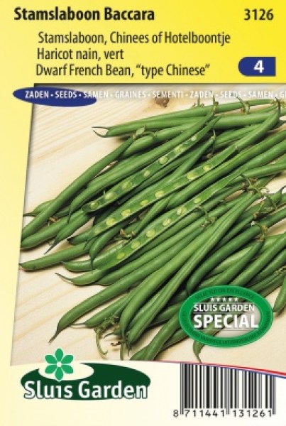 Fazuľa kríčková, zelená fazuľka, Baccara, čínska fazuľa,