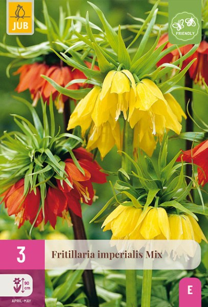 Korunovka, Fritillaria imperialis mix XXL balenie