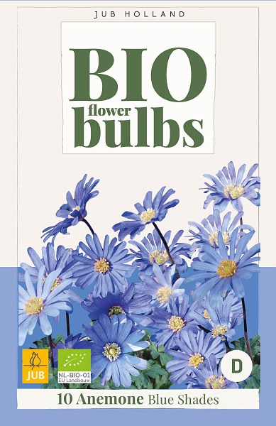 Cibuľoviny, Veternica, Anemone blanda Blue Shades