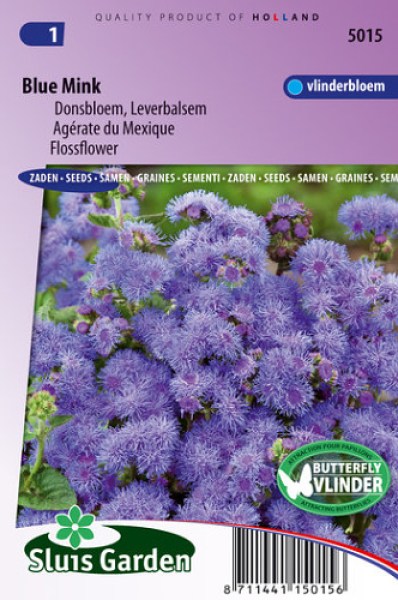 ageratum, semená kvetov, kvety, letničky, modré kvety, krásne kvety,