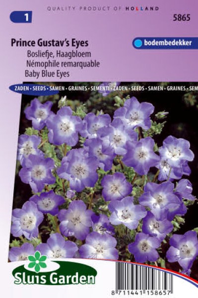 nemophal kvety semena zeleniny kvetov bylinky sadit pestovat rajcin paprika uhoriek bazalka