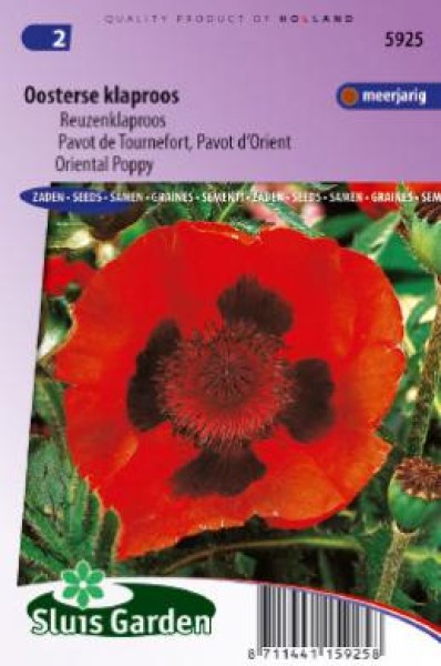 Papaver orientale, divý mak, ozdobný mak, Oriental Poppy Scarlet