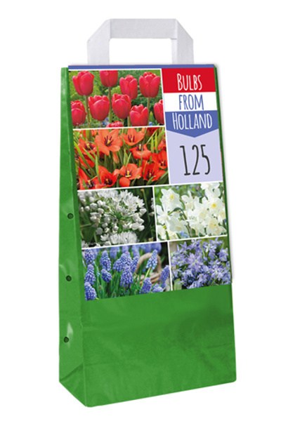 kvety pre včely, zmes cibuľovín, jarné kvety, cibuľoviny, 