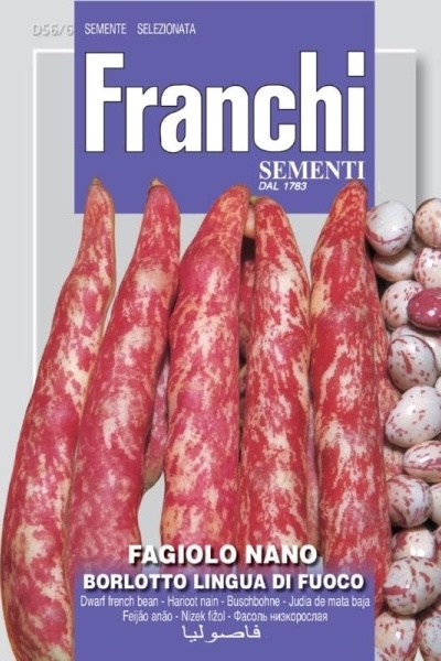 Strakatá fazuľa kríčková Borlotto 50 g semien