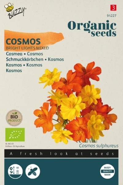Krasuľa, Kosmos, Cosmos sulphureus, Bright Lights Mixed,