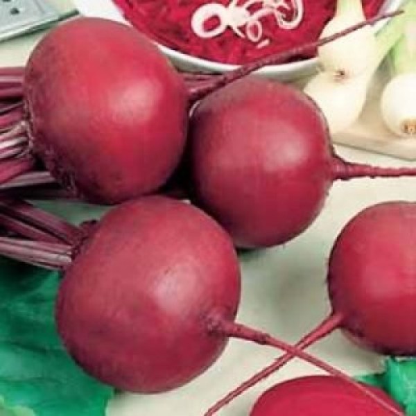 Red-Beet-Detroit-Nr.-2-300x300_500x0