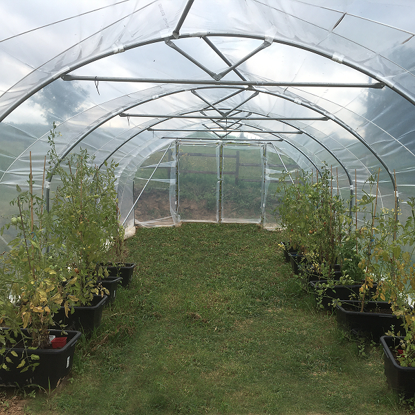 Roemi-Profiline_03-18