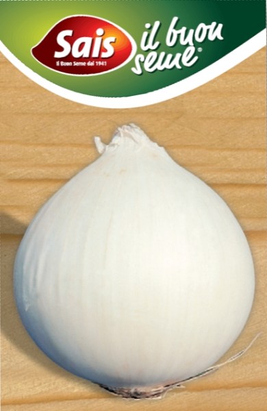 sladká cibuľa, biela sladká cibuľa, biela cibula, semena sladkej cibule, lahôdková cibuľa, semená cibule,