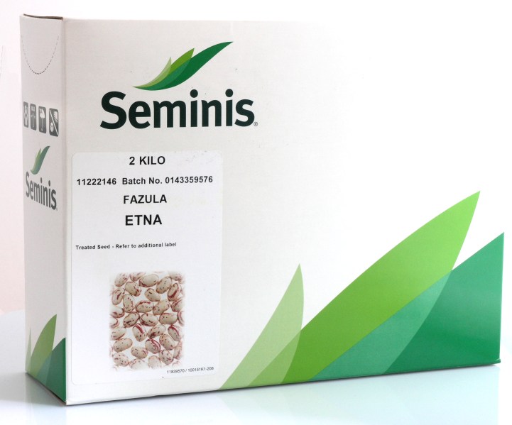 Fazuľa ETNA ilustratívny obrázok