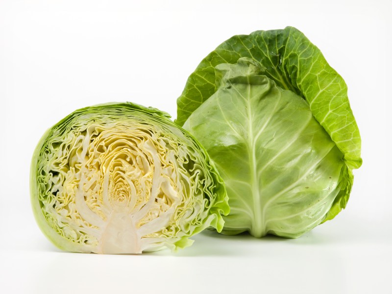 Kapusta skorá, biela Pandion (Seminis)