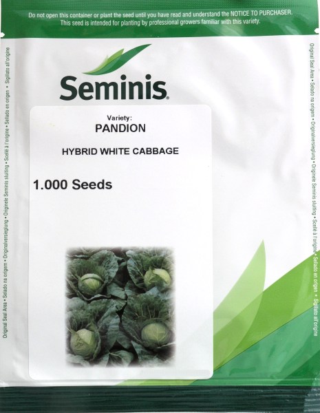 Kapusta skorá, biela Pandion (Seminis)