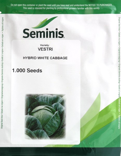 Kapustia biela, na spracovanie Vestri (Seminis)